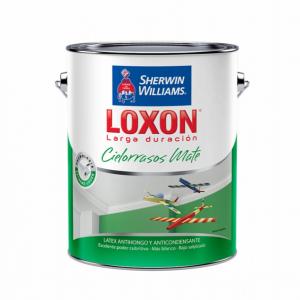 Látex Cielorraso Loxon 4 Lt